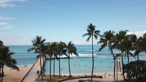 hawaii aerial drone view flying over palm trees of waikiki beach in honolulu