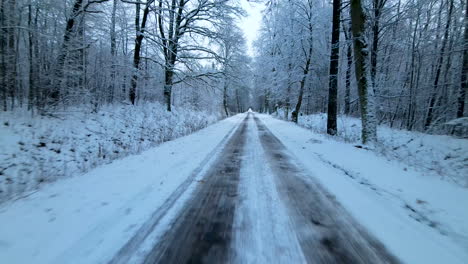 tire tracks in the white snow on a mud road between the forest in poland