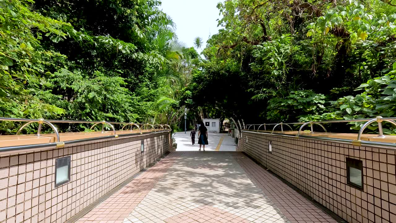 푸른 길 을 따라 고 있는 사람 들