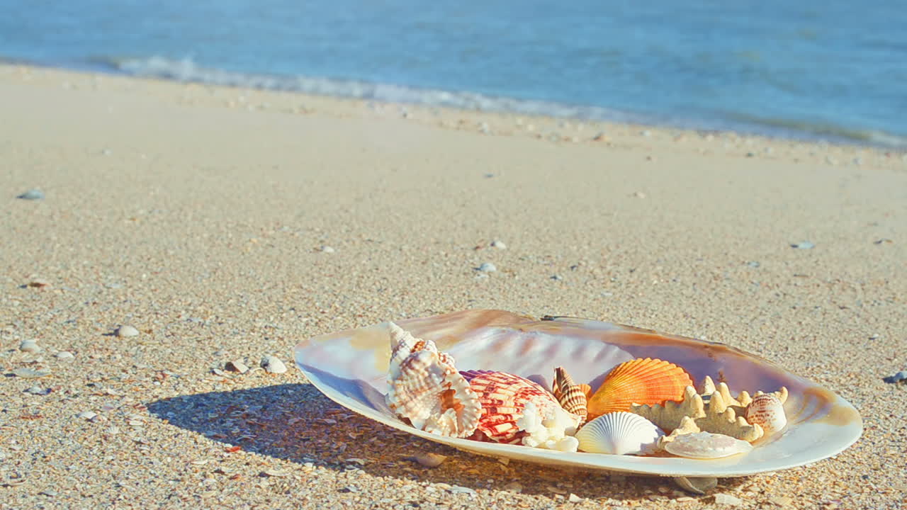 Cockleshells on sand against the background of waves. Shooting on the beach