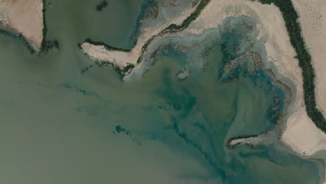 toma aérea de un santuario de aves, pájaros volando, colombia, la guajira