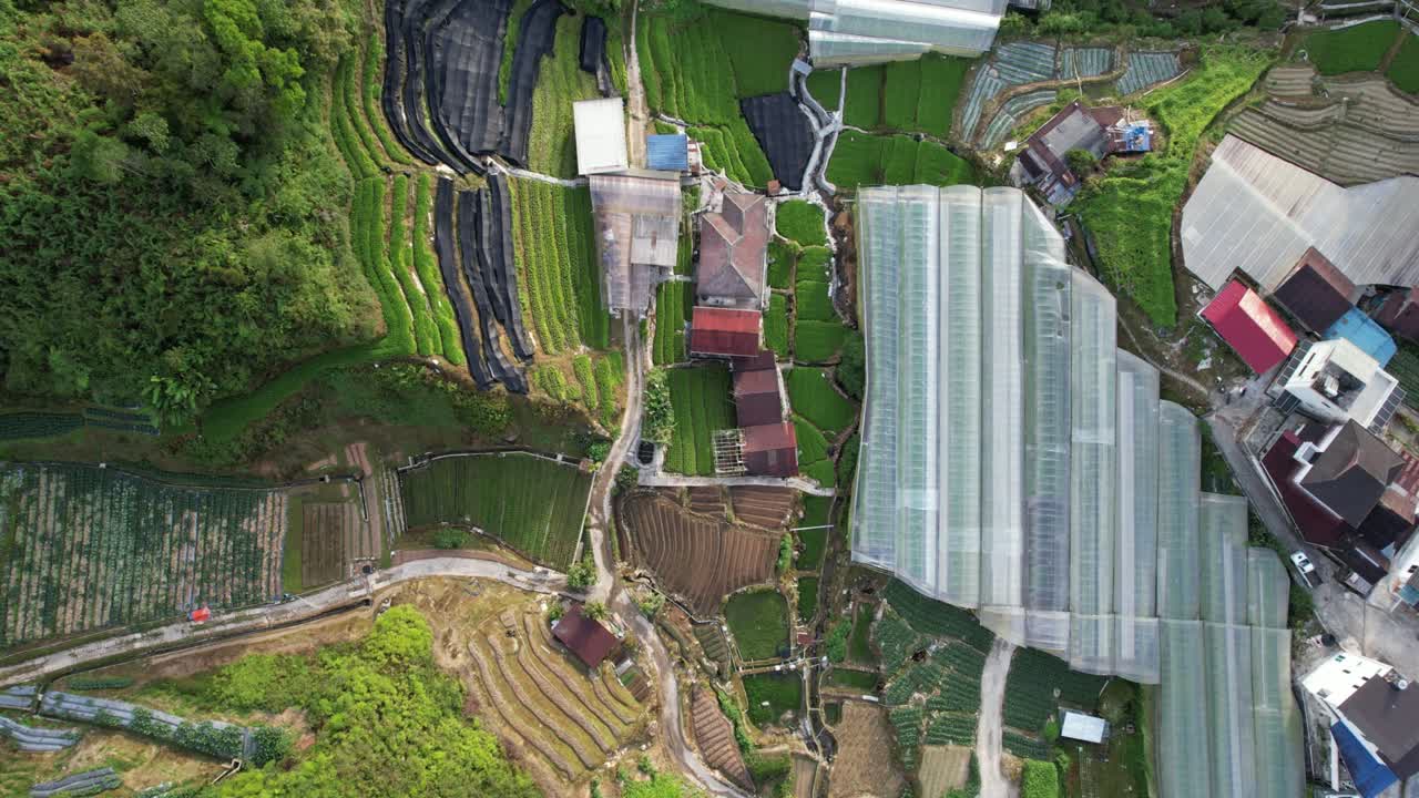 말레이시아의 카메론 하이랜드 지역 내의 브린창 지역의 일반 풍경