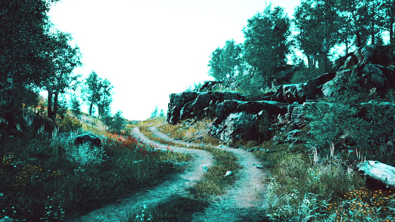 camino de campo en un bosque caducifolios en una mañana brumosa