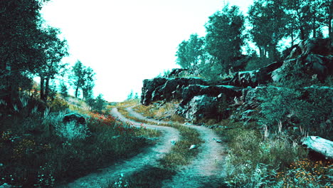 country road in a deciduous forest on a foggy morning