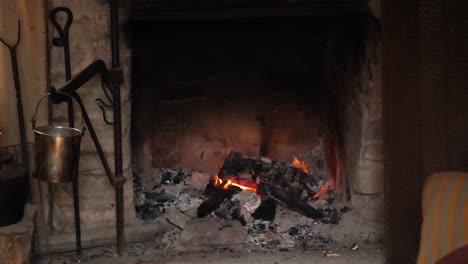 burning logs in a rustic fireplace