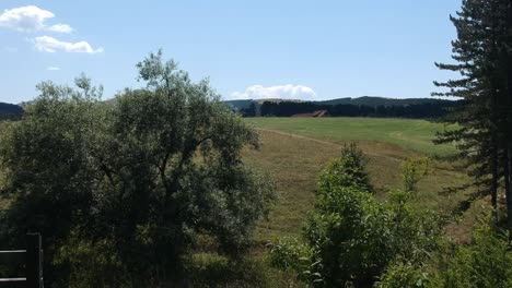 Reveal-drone-shot-from-behind-tree's-of-scenery-landscape-on-Zlatibor-mountain,-Serbia