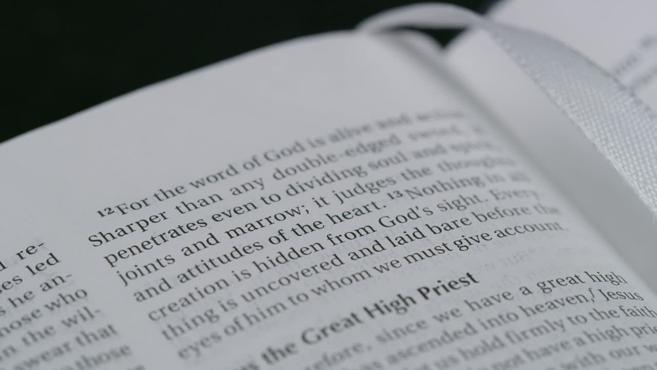 santa biblia escrituras palabra de dios biblia cristiana