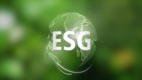 esg: environmental, social, and governance