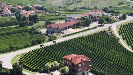 aerial view of vineyards and houses in piedmont