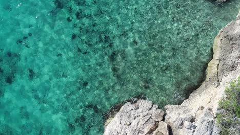 drone volando sobre el agua clara de la costa de coral
