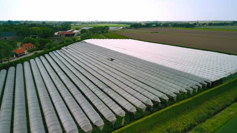 árboles-Frutales-Protegidos-Con-Plástico-Para-Proteger-La-Fruta-De-Los-Pájaros