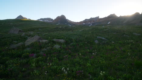 Filmische-Akelei,-Bunt,-Wildblumen,-Sonnenuntergang,-Goldene-Stunde,-Licht,-Eis,-Seebecken,-Silverton-Telluride,-Ouray,-Ausgangspunkt,-Spitze-Des-Sommers,-Schnee,-Geschmolzener-Gipfel,-Rocky-Mountains,-Tal,-Colorado,-Atemberaubende-Landschaft