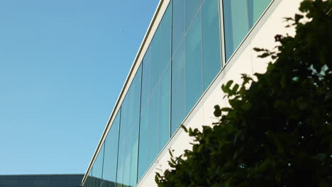 fachada de vidrio curva de un edificio moderno cerca de elementos naturales verdes de la fauna