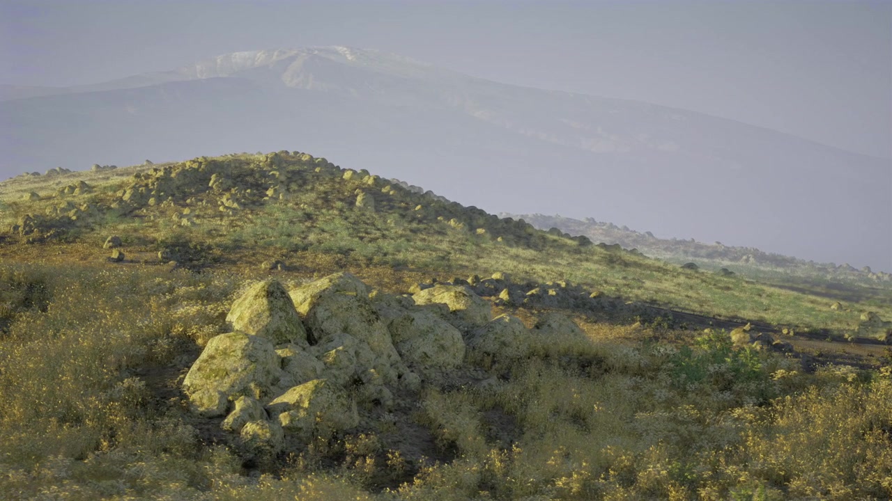 Scena elevata e pacifica con pietre sparse e montagne distanti