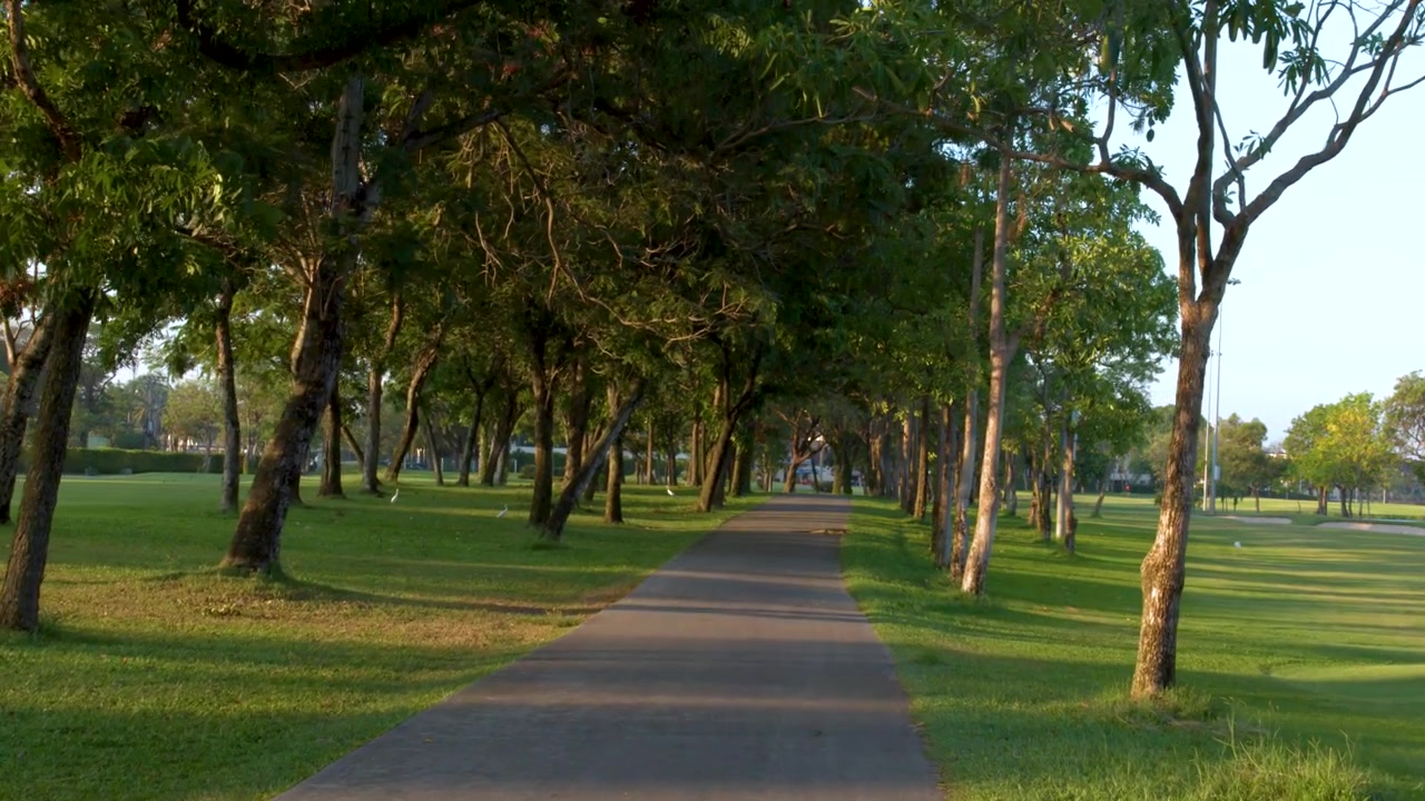 Sentiero lastricato attraverso un lussureggiante campo da golf verde all'alba