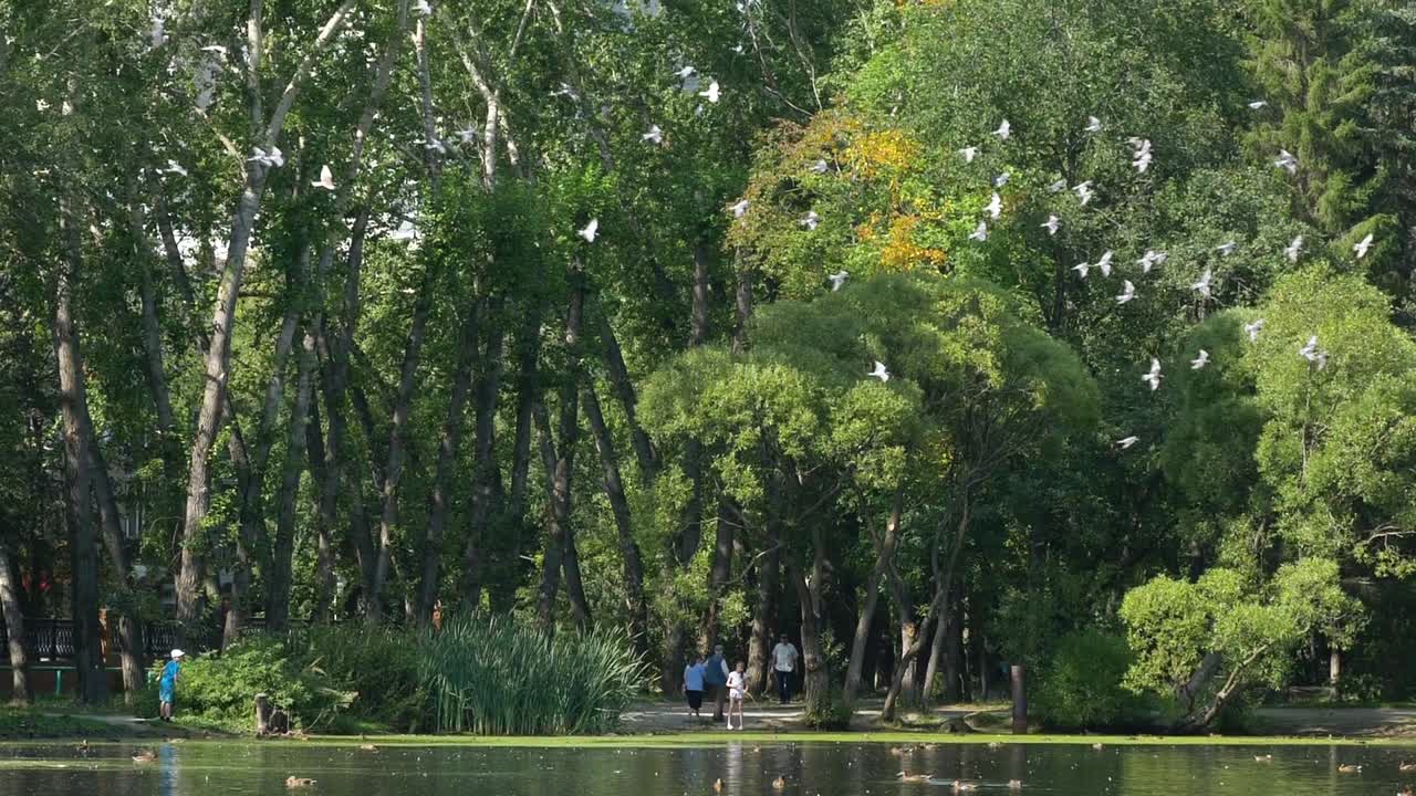 사람 들 과 함께 공원 장면