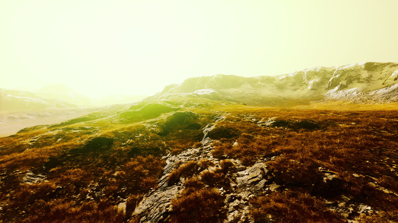 majestuosa cordillera con nieve y hierba