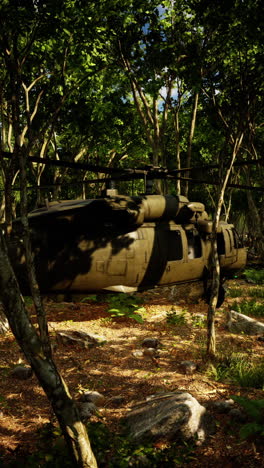 military helicopter in a dense jungle