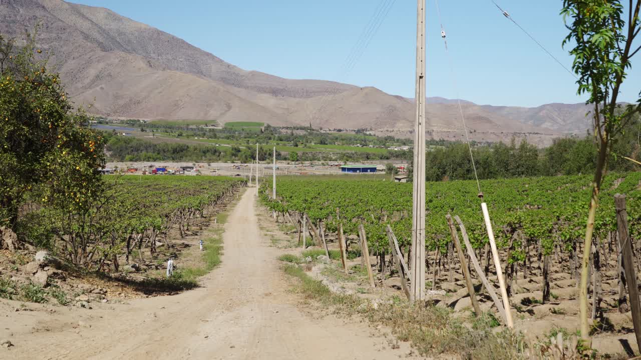 Campo con una granja agrícola en el Valle de Elqui cerca de La Serena, Región de Coquimbo, Chile.