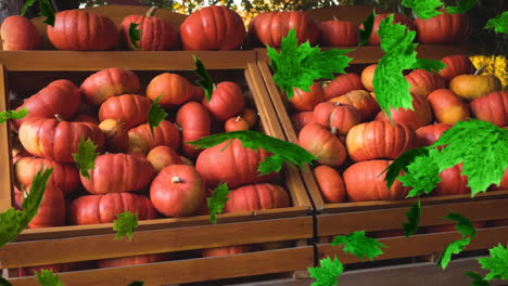 animación de hojas de otoño que caen sobre calabazas en los estantes