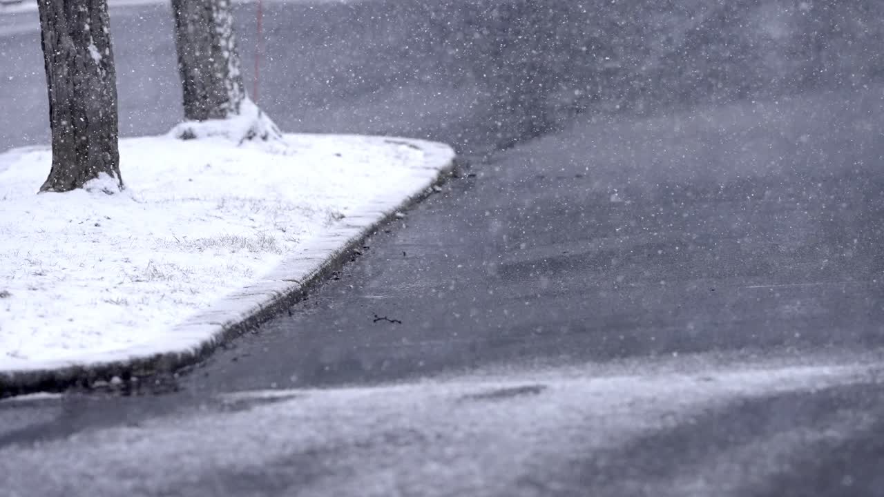 Slow-motion deep focus shot of snowflakes settling on wet cement, with two trees in the upper left corner. Snow begins to accumulate on a landscaped parking lot planter. Faint lines of a crosswalk.