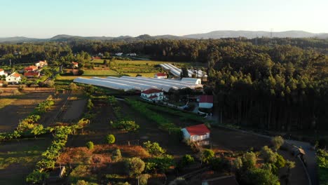 Puesta-De-Sol-En-El-Campo-De-Portugal