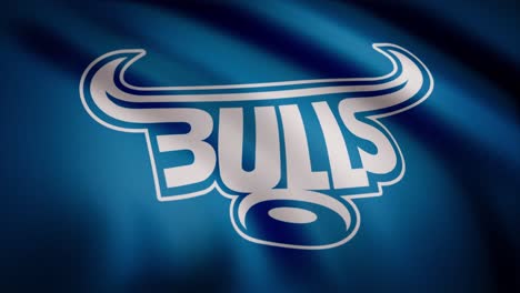 blue and white bulls logo on waving fabric