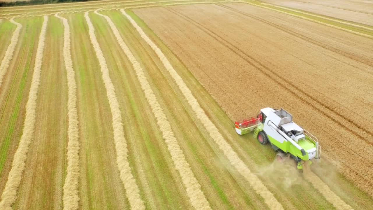 황금  ⁇ 의 드론 영상과 수확기