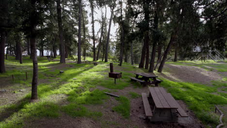 a cinematic drone shot of a campground with picnic tables in a dense forest at golden hour