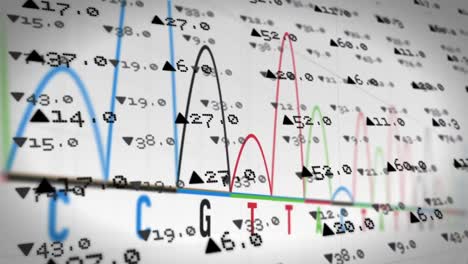 graphs of nucleic acid sequence