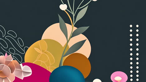 abstract floral shapes and geometric patterns animation on dark background