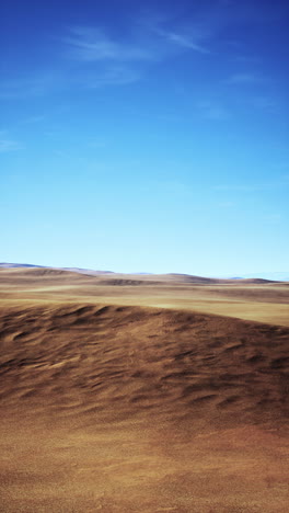 desert landscape under a blue sky