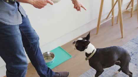 caucasian man training and feeding his dog at home