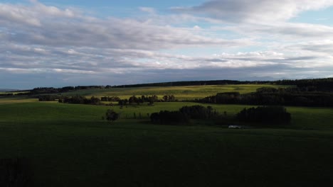 Field-green-grass-pasture-pond-mountains-in-the-evening-circled