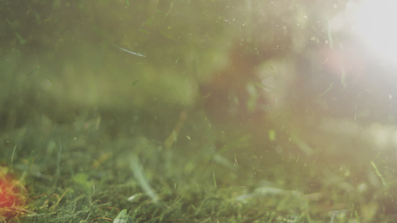 cortadora de césped para cortar césped