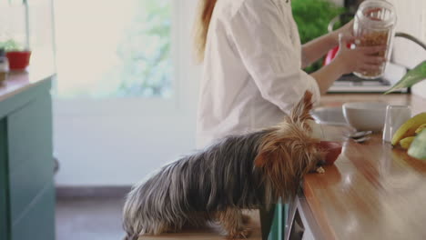 mujer joven y su perrito en la cocina