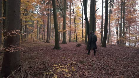 person hiking through an autumn forest