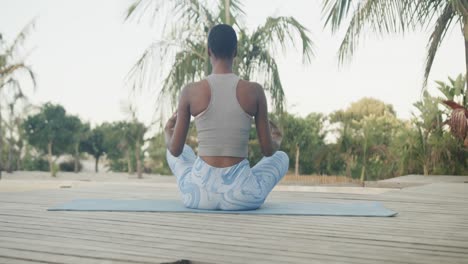 vista trasera de una mujer biracial practicando meditación de yoga sentada en el muelle junto a las palmeras, cámara lenta