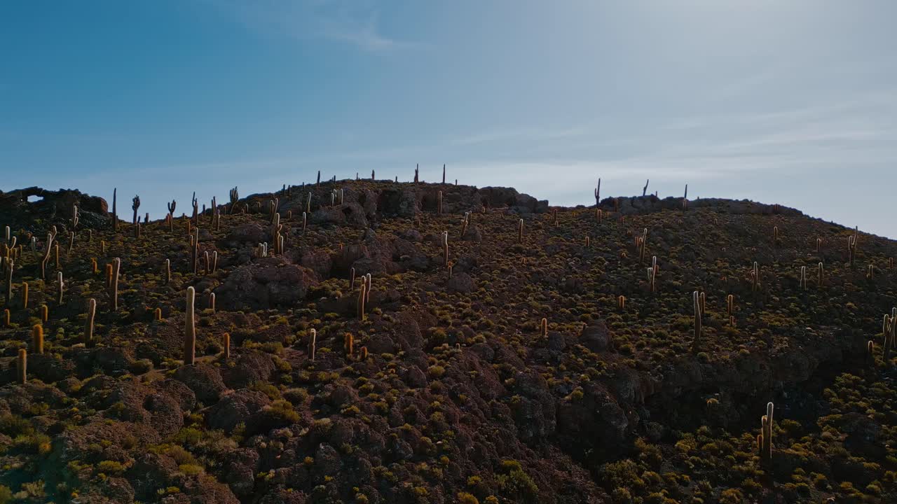 Experience Bolivia's allure with stunning drone footage of Isla Incahuasi, Salar de Uyuni's expansive salt flats, and striking cacti from above