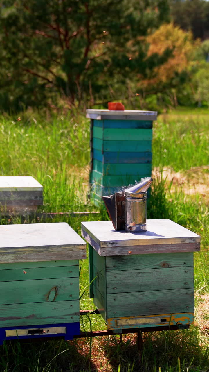 Little apiary consisting of few bee hives situated in the nature. Smoke comes from a smoker left on the hive lid. Lots of bees swarming around. Vertical video