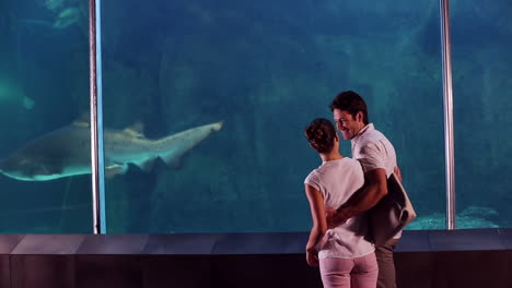 casal feliz olhando para um tubarão no tanque