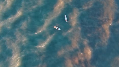 two surfers hitting their morning run