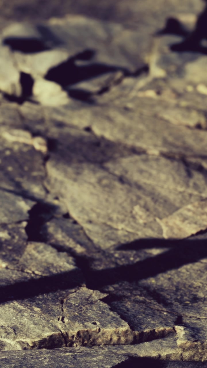 Sunlight shines on rocky surface in a natural setting during the day