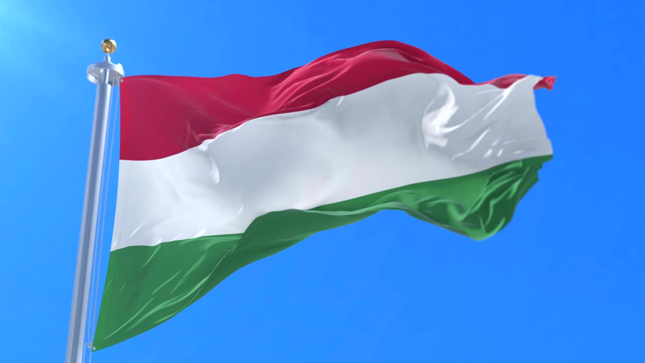 가리 발이 바람에 흔들리는 느린 파란 하늘, 루프