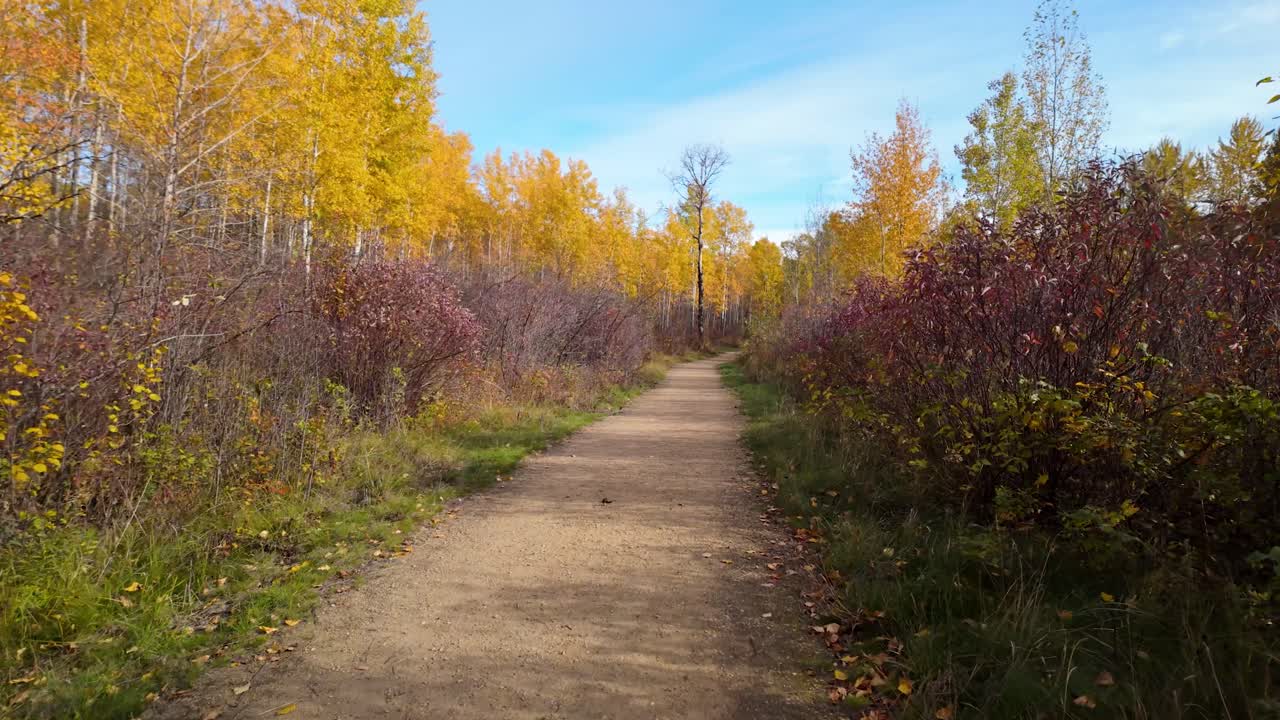 데본 알베르타 산책로 가을