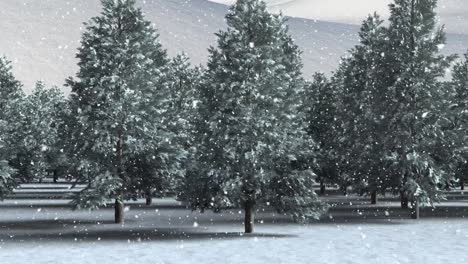 snow falling over multiple trees on winter landscape against white background