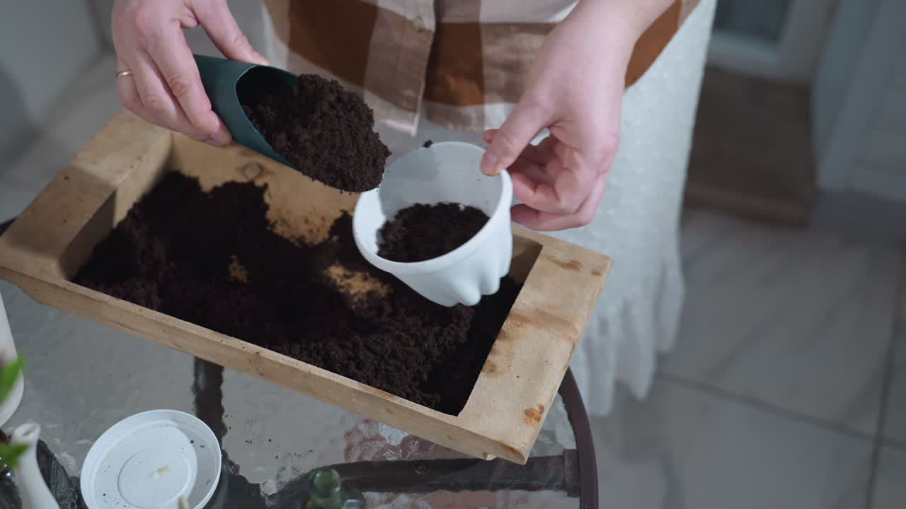 Top down view of woman filling white plastic planter with rich dark potting soil from wooden crate using teal scoop, hands in frame, indoor gardening prep under soft natural light in cozy home