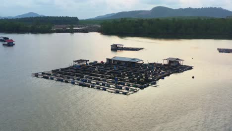 traditional floating fish farms on calm waters, wooden structures with cages and nets used for aquaculture, aerial view drone flyover