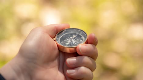 traveler hand holds a compass in forest