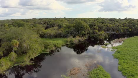 aerial drone footage captures a scenic winding river meandering through a lush green wetland myakka river state park florida
